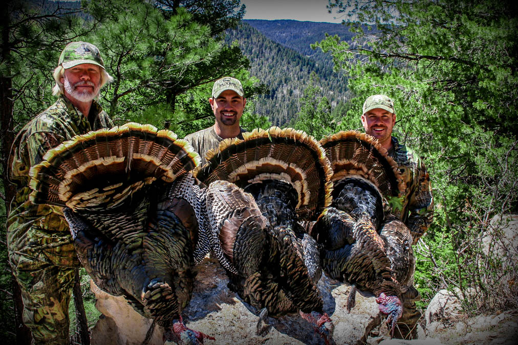 turkey-hunting-new-mexico (2 of 2)