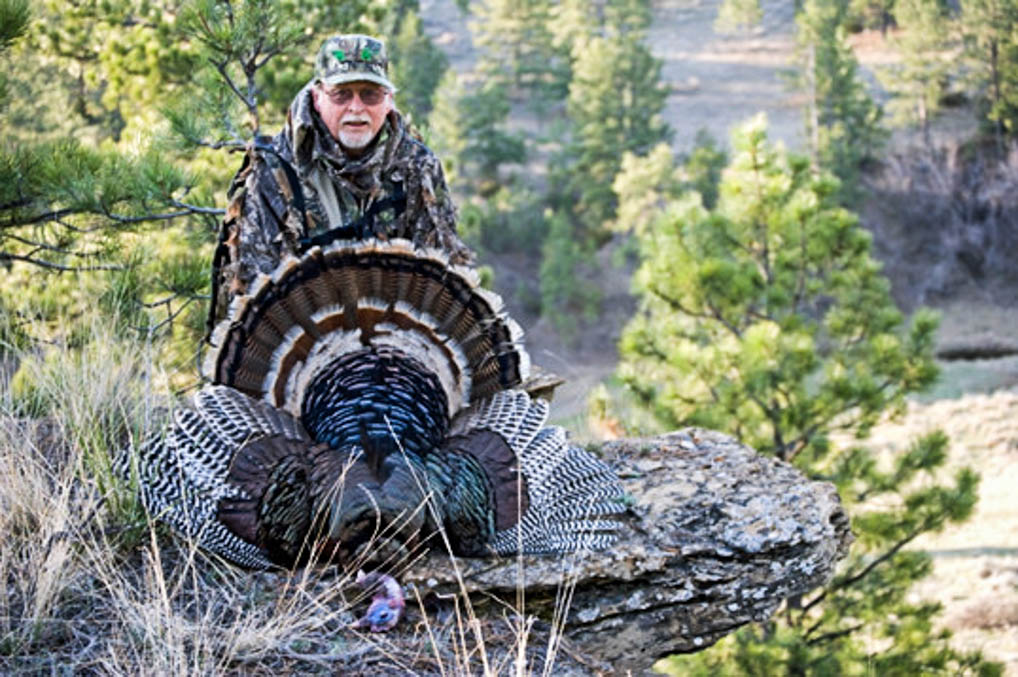 quality-turkey-hunting-pics-1