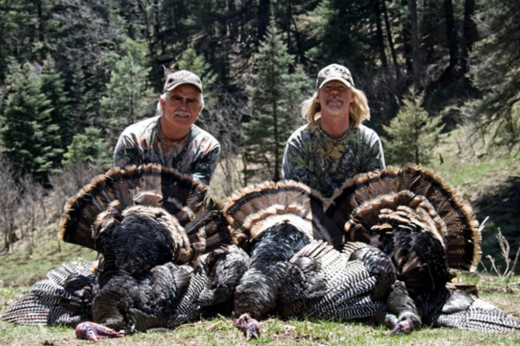 quality-turkey-hunting-pics-3