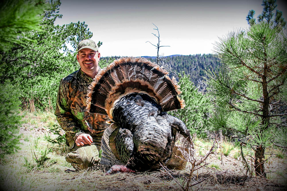 Grant Carmichael found a way to take a gobbler in NM while everyone else was eating lunch.