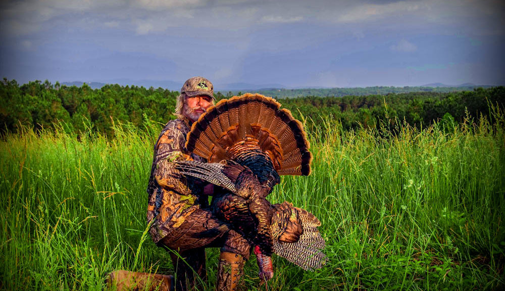 Eastern Wild Turkey