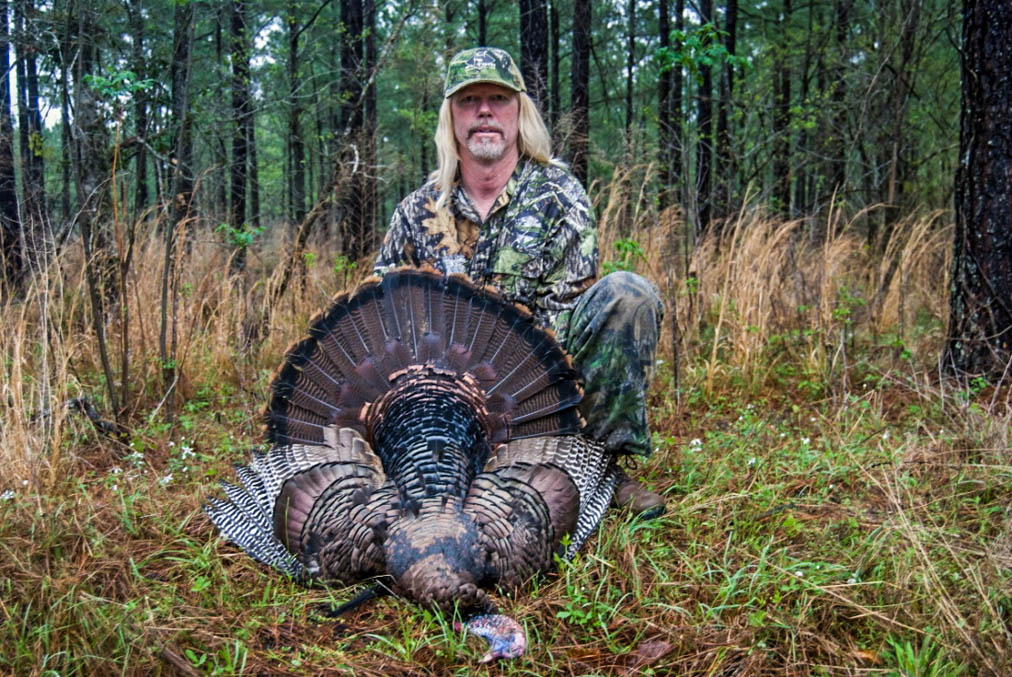 Georgia gobbler that responded to fighting purrs