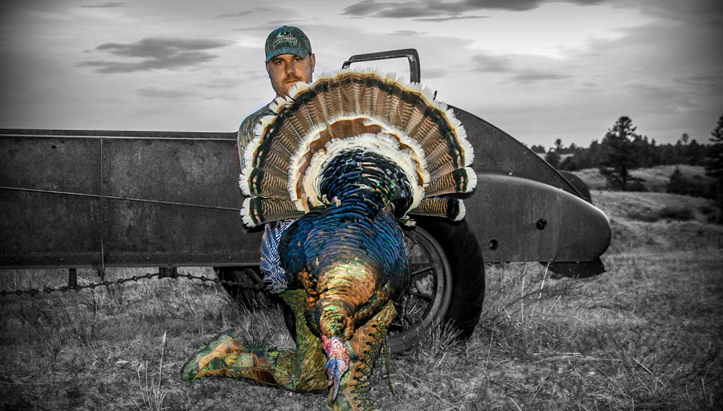 Grant Carmichael Turkey Hunting Montana