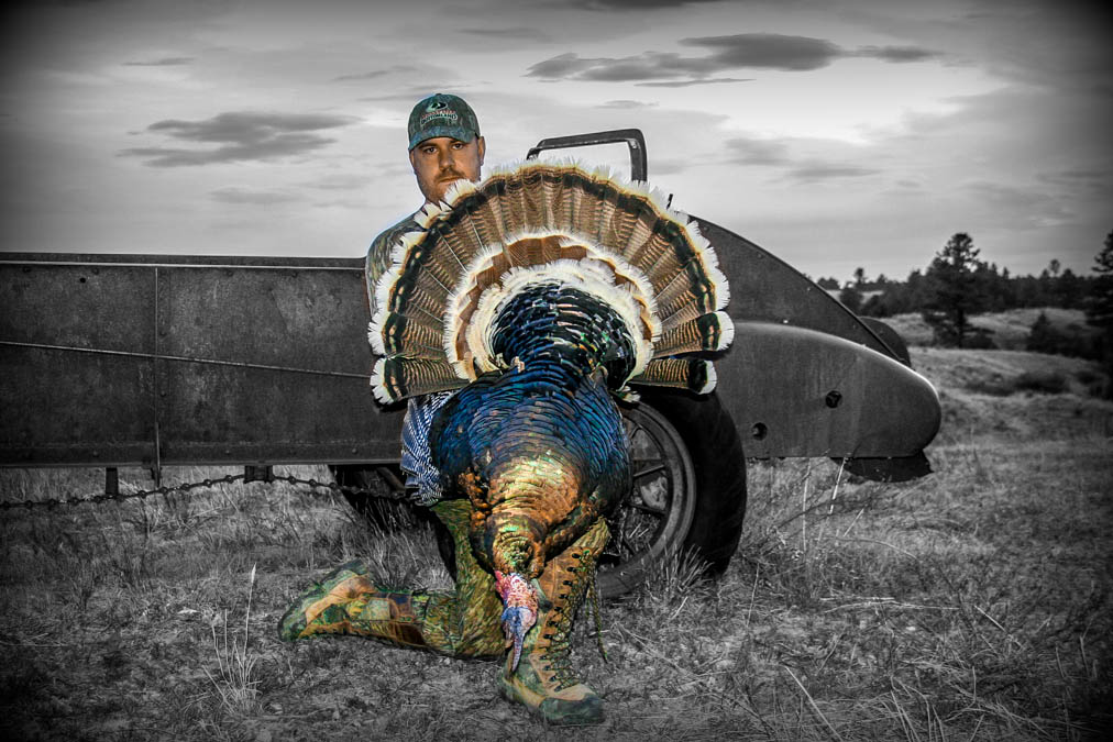 Grant Carmichael Turkey Hunting Montana