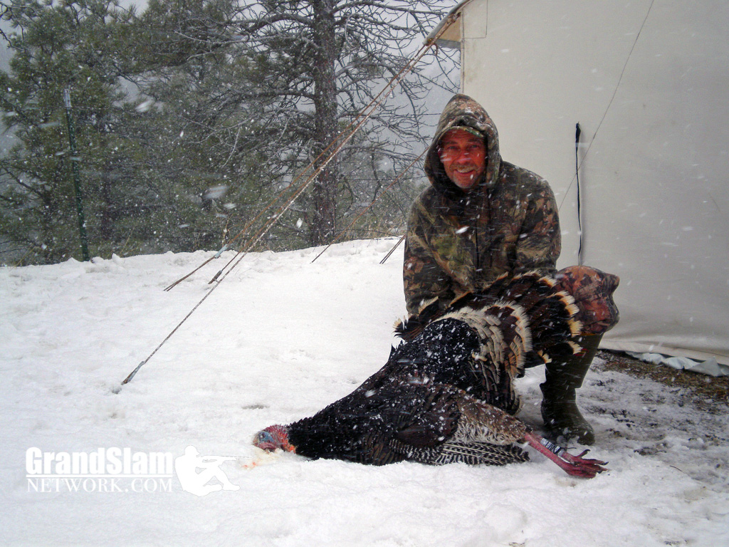 Turkey hunting in the snow